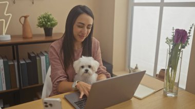 Modern bir oturma odasında dizüstü bilgisayarda çalışan bichon köpeğiyle İspanyol bir kadın..