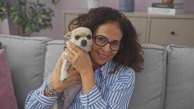 Orta yaşlı bir kadın sıcak bir oturma odasında Chihuahua 'sını sevgiyle tutuyor, dostluk ve özen gösteriyor..