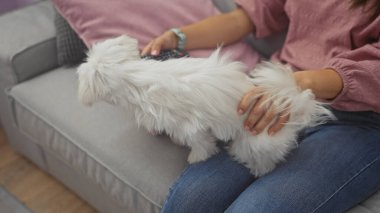 Genç bir kadın evinde dinleniyor, yumuşak beyaz köpeğini rahat bir kanepede okşuyor..