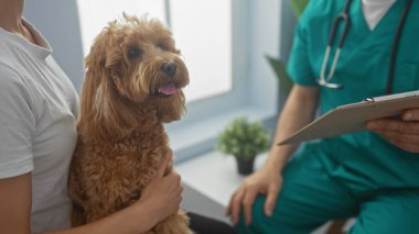 Veteriner kliniğinde bir adam kanişi nazikçe tutarken veteriner önlük giymiş, elinde bir pano tutuyor.