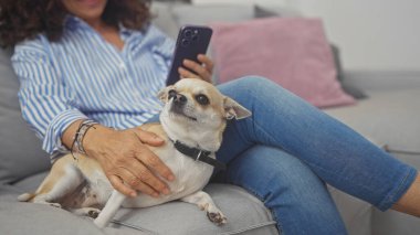 Orta yaşlı İspanyol bir kadın, akıllı telefon kullanarak kanepede Chihuahua 'sıyla vakit geçirmekten zevk alıyor..