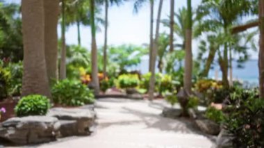 Bereketli yeşillik ve palmiye ağaçları ile tropikal tatil yolu, bulanık ve dağılmış arka plan, deniz tarafından sakin ve huzurlu bir tatil atmosferi yakalıyor