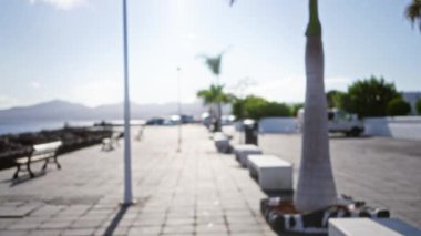 Lanzarote, kanarya adaları, İspanya 'daki palmiye ağaçları ve açık gökyüzünün altında okyanus ve dağların yer aldığı bulanık doğa yürüyüşü..