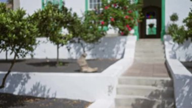Lanzarote, kanarya adalarında bulanık bir manzara. Arka planda odandan çıkmış bahçe yolu ve yeşillik var. Odaklanamayan İspanyol manzarasının özünü yakalıyor..