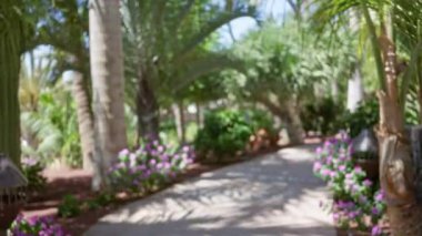 Bereketli yeşillik ve mor çiçeklerle dolu tropikal bir tatil beldesinde bulanık bir yol hayat dolu, dağınık bir arkaplan oluşturuyor..