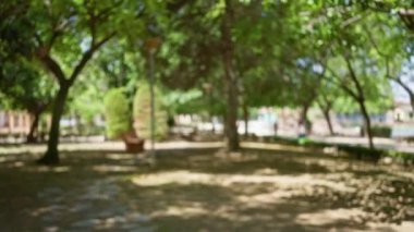 Ağaçlarla kaplı açık hava parkı ve bulanık arka planı olan oturma alanları ve odaksız yeşil yapraklar huzurlu ve huzurlu bir atmosfer sağlıyor.