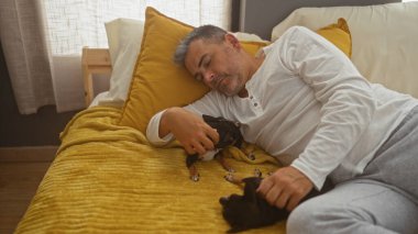 Orta yaşlı İspanyol bir adam rahat bir yatak odasında iki chihuahua köpeğiyle birlikte uzanıyor ve rahat bir ortam yaratıyor..