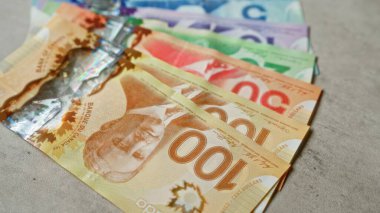 Beton bir yüzeye yerleştirilmiş çeşitli banknotlar, canlı renkler ve ayrıntılı tasarımlar sergiliyor.