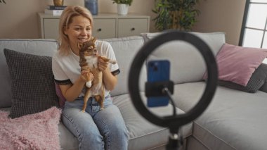 Sarışın, beyaz bir kadın oturma odasında elinde bir chihuahua köpeği, elinde bir yüzük ışığı ve akıllı telefon tertibatıyla oturmuş video kaydediyor..