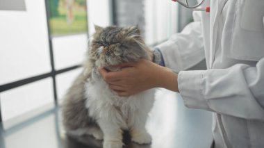 Veterinerlik mesleği gereği bir kedi yavrusunu nazikçe muayene eder. Şefkatli ve klinik bir çevreyi ön plana çıkarır..
