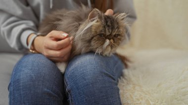 Kucağında tüylü kedi yavrusuyla evde dinlenen bir kadın, rahat bir oturma odası atmosferi sergiliyor..