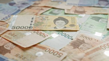 Güney Kore 'nin kazandığı banknotlar, çeşitli mezheplere dağıldı ve Güney Kore para birimi detaylarını gözler önüne serdi..