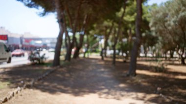 Bulanık bir açık hava parkı sahnesi. Ağaçlar ve arka plan bulanık. Bokeh efektli doğal bir ortam sergiliyor..