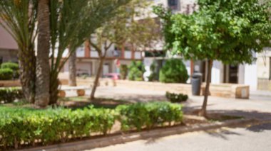 Güneşli bir günde palmiye ağaçları ve yeşillik ile çözünmüş bir park alanını gösteren bulanık bir açık hava sahnesi. Arka planda bir bokeh etkisi ve kentsel bir çevre var..