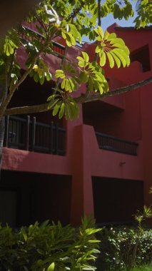 Berrak mavi gökyüzünün altında canlı bir terracotta binasının önündeki tropikal yapraklar..