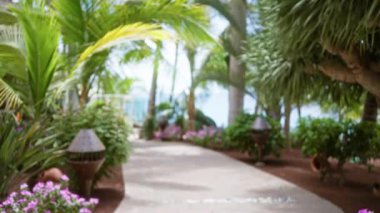 Bulanık tropik tatil yeri yolu yemyeşil palmiye ağaçları ve renkli çiçeklerle sakin ve davetkar bir atmosfer yaratıyor..