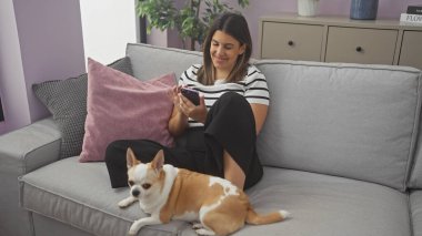 Gülümseyen genç bir kadın kanepede oturur. Yanında Chihuahua 'sı ve akıllı telefonuyla..