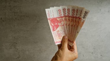 İzlanda Krona banknotlarının taraftarını somut bir arka plana karşı tutarak, İzlanda 'nın para birimi ile ilgili mali ve ekonomik kavramları vurguluyor.