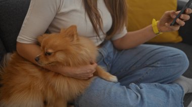 Genç bir kadın rahat bir oturma odasında akıllı telefonunu kullanırken koltukta bir Pomeranian 'a sarılıyor..