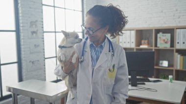 Orta yaşlı İspanyol bir veteriner parlak bir klinikte Chihuahua tutuyor.