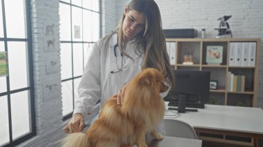 Genç bir kadın veteriner, iyi donanımlı bir veteriner kliniğinde Pomeranian köpeğini muayene ediyor..