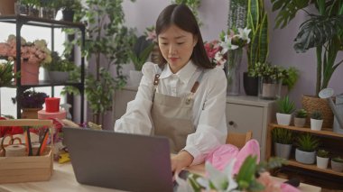 Çiçekçi Asyalı bir kadın, çiçekçi dükkanında bitkiler ve çiçeklerle çevrili dizüstü bilgisayar kullanıyor..