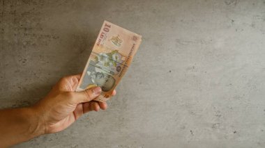 Romanya 'da mali konsepti tasvir eden, somut arka plana karşı Romen leu banknotunu elinde tutan kişi.