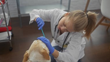 A woman veterinarian examines a dog in an indoor clinic setting, showing healthcare, professionalism, and compassion. clipart