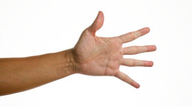 Adamın eli beyaz bir arka plan duvarına yayılmış. Detaylı deri dokusu ve parmak izleri var.