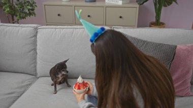 A woman in a party hat offering a birthday cake to her chihuahua in a cozy living room setting. clipart