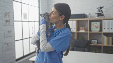 Veteriner bir kadın, parlak bir veteriner kliniğinde bir chihuahua 'yı sevgiyle öpüyor..