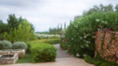 Mallorca 'daki açık bir bahçenin bulanık arkaplanı. Odaklanmış yeşillik ve taş yapılar huzurlu ve huzurlu bir atmosfer yaratıyor.