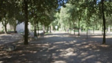 Roma 'da ağaçlarla ve güneş ışığıyla süslenmiş villa borghese bahçeleri güzel bokeh efektleri yaratıyor..