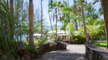 Odaklanamayan palmiye ağaçları, bokeh etkisi, yemyeşil yemyeşil ve okyanus yakınlarındaki güneşli, güneşli ve parlak şemsiyeli bir tropikal tatil beldesinin bulanık görüntüsü.