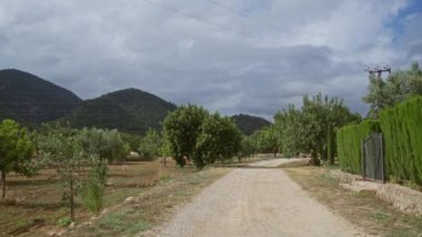 Dağlık arka planda bulutlu gökyüzünün altında yemyeşil meyve bahçesinden geçen toprak yol kırsal alanda yakalanır..