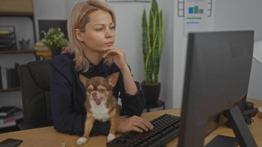 Düşünceli, genç, sarışın bir kadın masasında çalışıyor. Kucağında Chihuahua köpeği var..