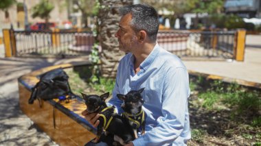 Orta yaşlı İspanyol bir adam güneşli bir günde elinde iki chihuahua ile şehir parkında oturuyor..