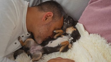 Orta yaşlı İspanyol bir adam, bir oturma odasında sıcak bir kanepede iki Chihuahua köpeğiyle sarılıyor..