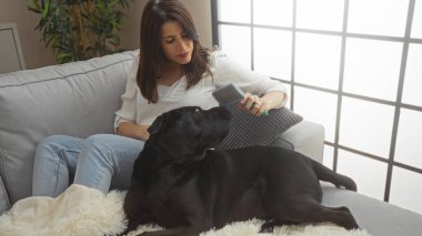 Genç İspanyol bir kadın, labrador köpeğini fırçalarken şehir ortamında bir kanepede oturuyordu..