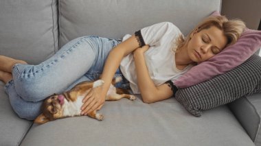 Sarışın genç bir kadın oturma odasındaki kanepede uyuyor. Yanında bir Chihuahua köpeği yatıyor..