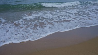 A serene beach scene with gentle waves rolling onto the sandy shore under a clear sky showcasing the calm ocean and beautiful nature. clipart