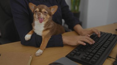 Dedektiflik bürosundaki genç bir kadın klavyeye yazı yazıp bir chihuahua köpeğini kollarına alarak samimi ve benzersiz bir çalışma ortamı yaratıyor.