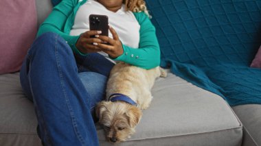 Genç Afro-Amerikalı kadın, köpeğiyle evde kanepede dinleniyor oturma odasında kot pantolon ve yeşil süveter giyerek akıllı telefon kullanıyor..