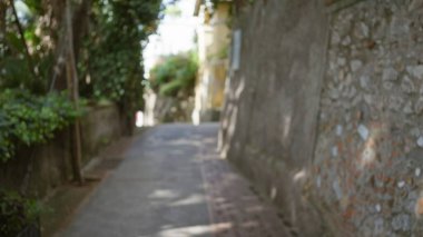 Bulanık bahçe manzarası, çözünmüş patika ve yemyeşil alan sakin ve huzurlu bir atmosfer yaratıyor. Rahatlama ve tefekkür için mükemmel..