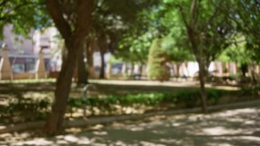 Açık hava parkı, parlak yeşil ağaçlar ve bulanık arka plan güneşli bir günde doğal ışık ve bokeh efektleriyle