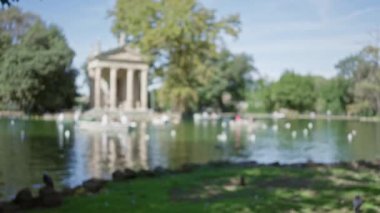 Roma 'daki tapınak, gölet ve ağaçlarla kaplı villa borghese bahçelerinin bulanık görüntüsü, sakin doğal güzelliğin tadını çıkaran insanlarla huzurlu bir açık hava manzarası olduğunu gösteriyor..