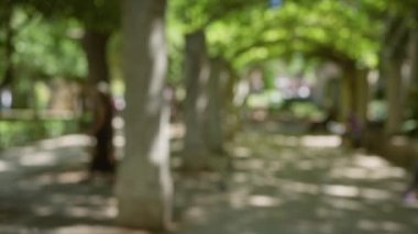 Parlak güneş ışığı altında ağaçlar ve sütunlarla çevrili, güzel bir bokeh arka planla Mallorca 'da duran kadın, rüya gibi ve sakin bir ortam yaratıyor.