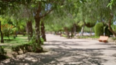 Ağaçlar, güneş ışığı, patikalar, banklar ve yemyeşil yemyeşil bir ortamda odağını kaybetmiş..