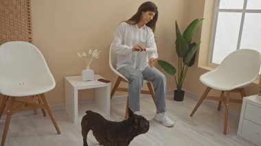 Genç bir İspanyol kadın, veteriner bekleme odasında gömleğindeki köpek tüylerini temizliyor. Yanında da Fransız bir bulldog var..