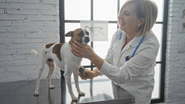 A middle-aged caucasian woman veterinarian tending to a small dog in a bright indoor veterinary clinic room. clipart